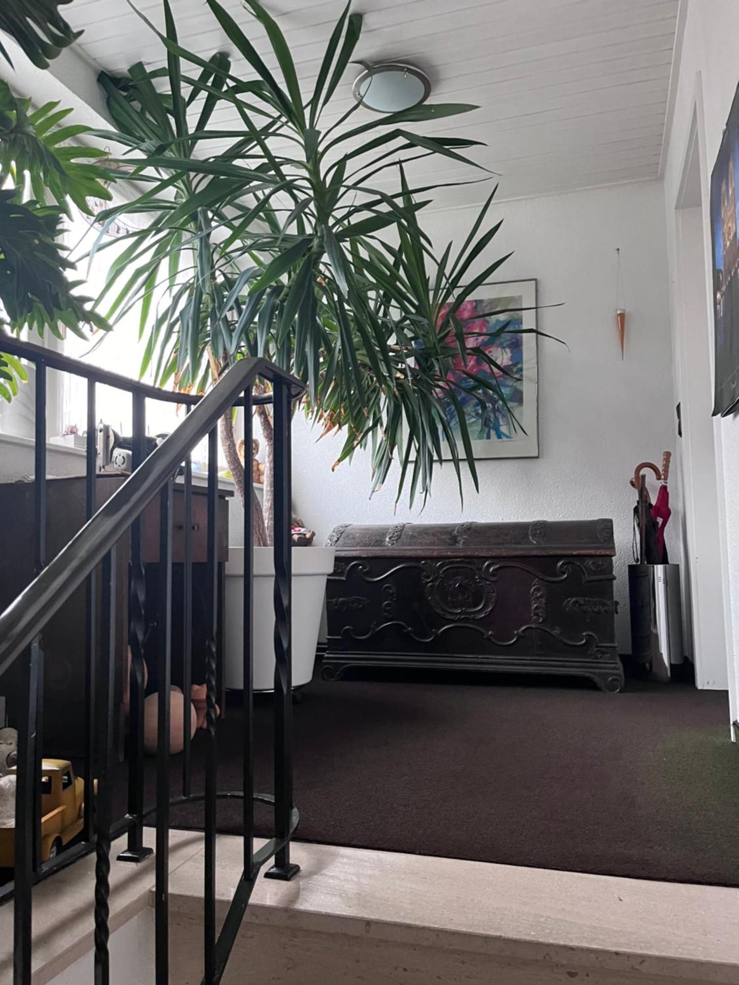 Helles Apartment Mit Balkon In Ruhiger Lage Hamelin Ngoại thất bức ảnh